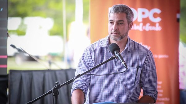 Habría veto parcial al proyecto que anula facturas de Ande y Essap