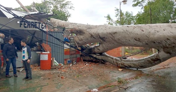 Miles de usuarios quedan sin luz tras el temporal