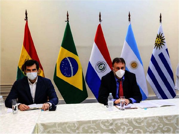 Mercosur pedirá refinanciar deudas para enfrentar crisis