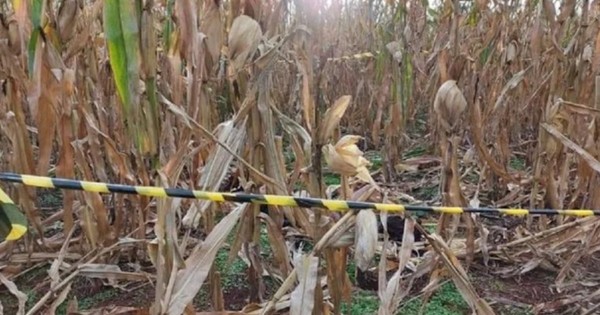 Una niña indígena, abusada y asesinada