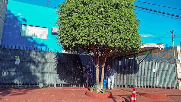 Locales de XTREME S.R.L. no están habilitados para VENDER suplementos y anabolizantes