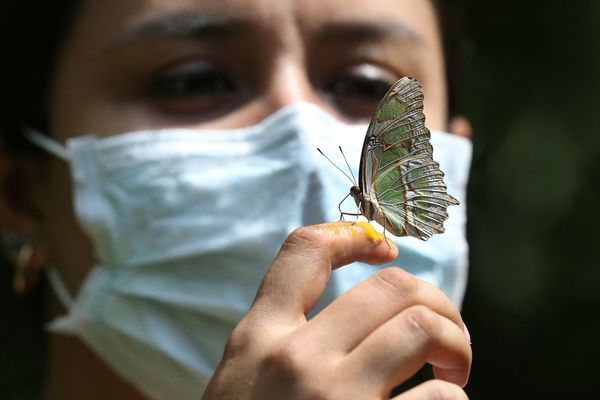 Las gotitas respiratorias pueden viajar más de dos metros - Ciencia - ABC Color