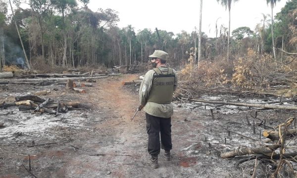 Defensa de áreas protegidas de Itaipú suma acompañamiento de judiciales – Diario TNPRESS