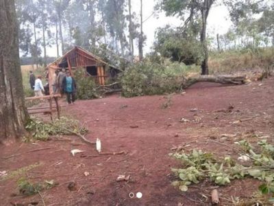 Nena de 5 años murió aplastada por un árbol