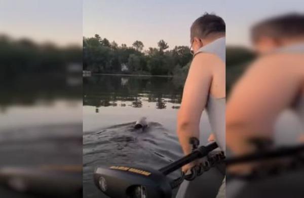 Familia salva a oso que tenía la cabeza atrapada en un bidón de plástico - C9N