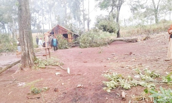 Tormenta derribó árbol y este cayó sobre niña de 3 años, matándola en el acto - ADN Paraguayo