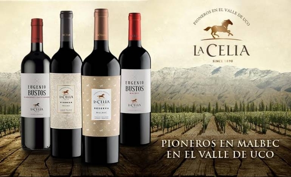 HOY / Llegan al país los reconocidos vinos Finca La Celia y Misiones D’ Rengo