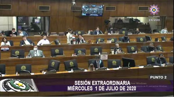 Diputados aprobó hoy interpelación al presidente de la ANDE - Nacionales - ABC Color