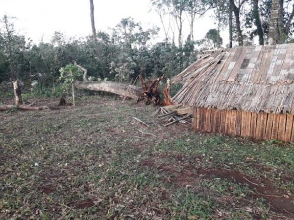 Temporal: Niña de 5 años murió aplastada por un árbol en Itapúa
