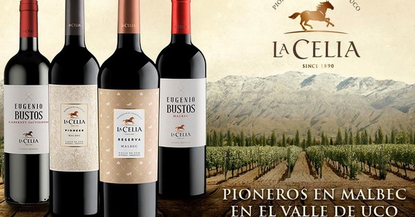 Llegan al país los reconocidos vinos Finca La Celia y Misiones D’ Rengo