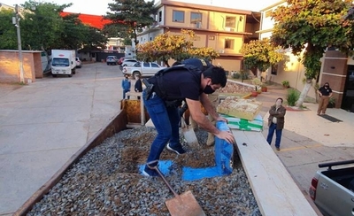HOY / Camión tumba llevaba marihuana entre ladrillos y piedra triturada
