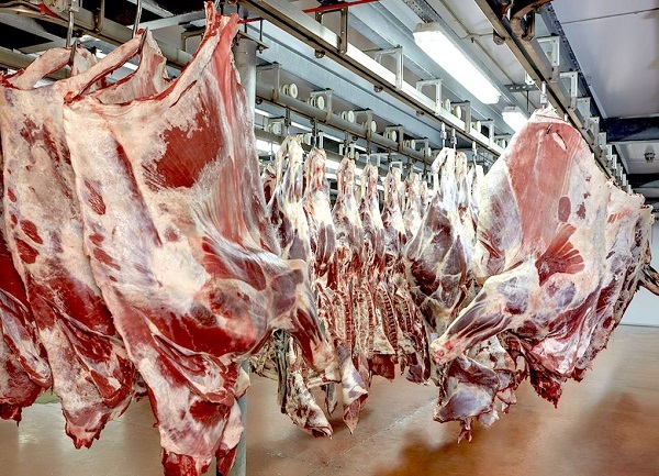 Frigoríficos exportadores procesaron 163.018 bovinos en junio
