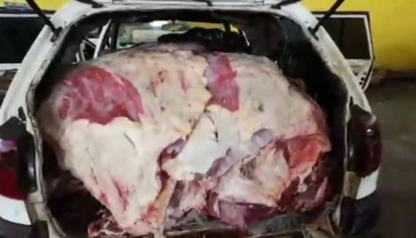 Denuncian masivo ingreso ilegal de carne desde Ponta Porã a Pedro Juan
