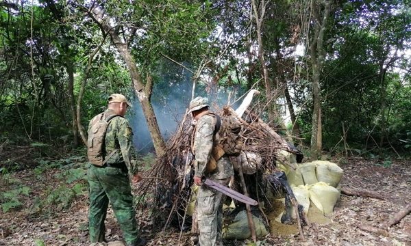 Inician operación contra el narcotráfico y la deforestación en la Reserva Morombí – Diario TNPRESS
