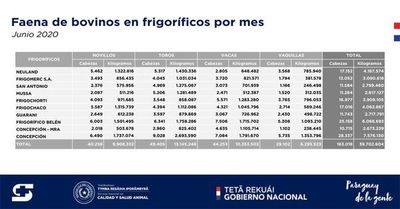 Crece la exportación de carne, en el comparativo parcial hasta junio supera 8% al 2019 - Nacionales - ABC Color