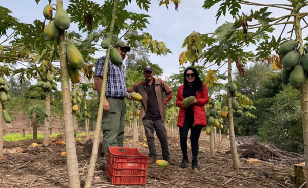 HOY / Crédito Agrícola de Habilitación asistió a unos quince mil productores