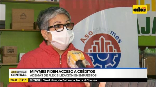 Mipymes piden acceso a créditos - ABC Noticias - ABC Color