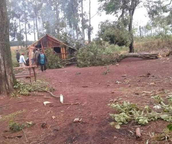 Niña de 5 años murió luego de que un árbol se le cayera encima en Itapúa