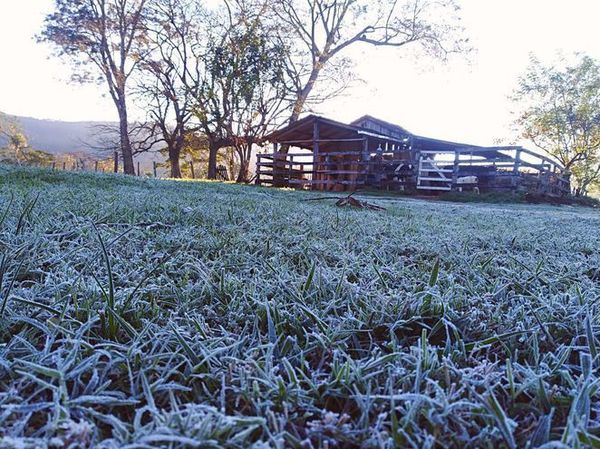 Anuncian sobreenfriamiento nocturno de solo 5°C para Misiones - Digital Misiones