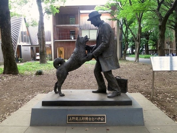 Revelan nuevas fotos de Hachiko, el perro que esperó por 9 años a su dueño