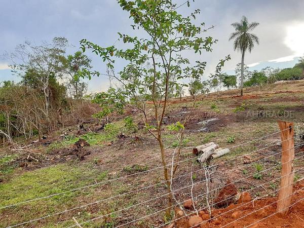 TIBIA reacción de la fiscalía ante DELITO AMBIENTAL en cantera a orillas del río Paraná