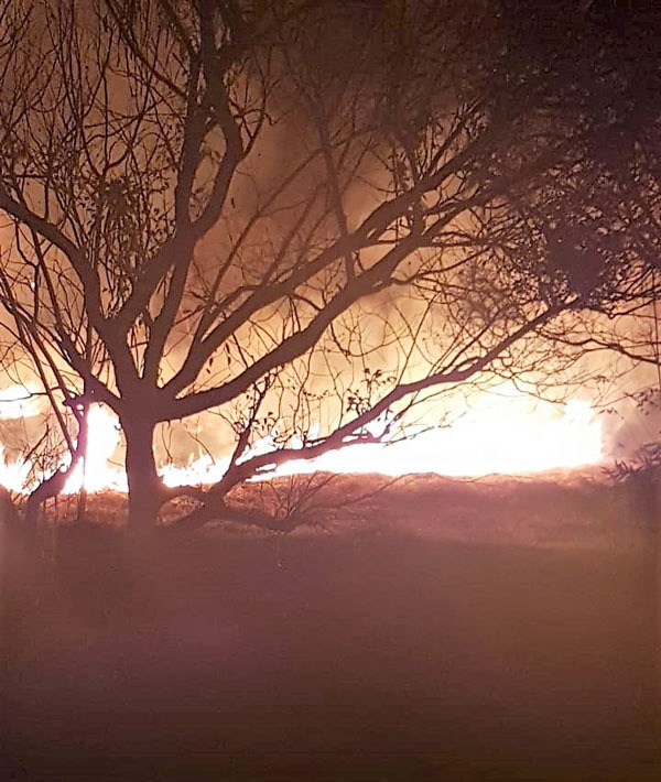 Peligroso incendio de PASTIZAL en CIUDAD DEL ESTE
