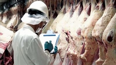 Exportación de carne crece 11,3% en el primer semestre