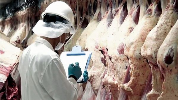 Exportación de carne crece 11,3% en el primer semestre