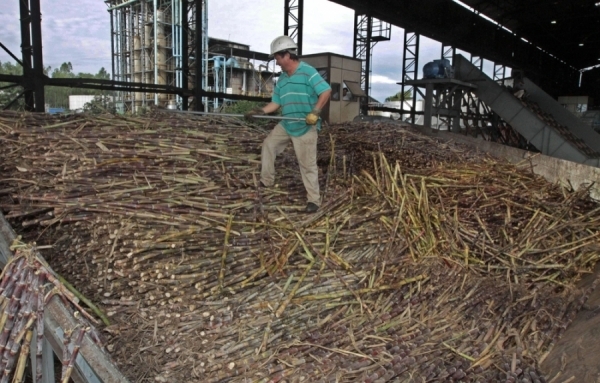 Cañicultores exigen al gobierno frenar el Contrabando y amenazan con sitiar Asunción