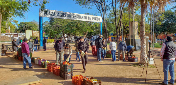 Exitosa feria de tomates en Concepción