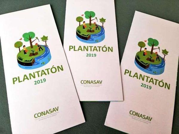 Plantatón 2019: Buscan paliar daño ambiental provocado por incendios y deforestación