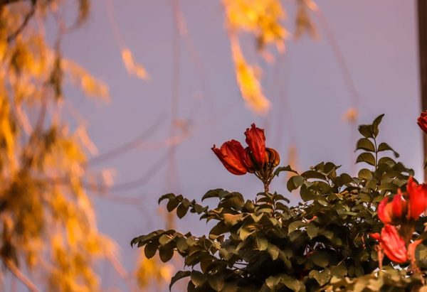 Meteorología anuncia jornada con mucho calor y vientos del noreste