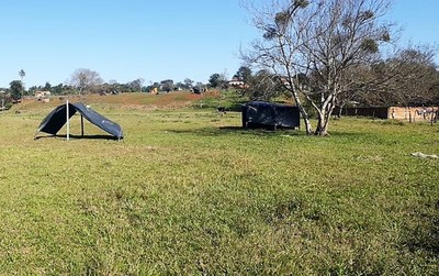 INVASORES abandonan TERRENO ante orden de DESALOJO
