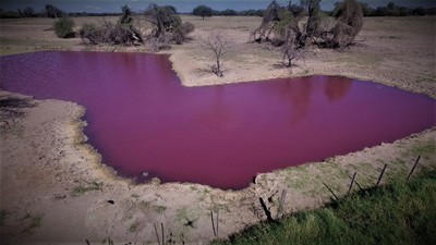 Recomiendan evitar todo tipo de contacto directo con el “tajamar rojo” de Loma Plata