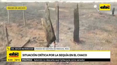 Situación crítica en el Chaco por sequías - ABC Noticias - ABC Color