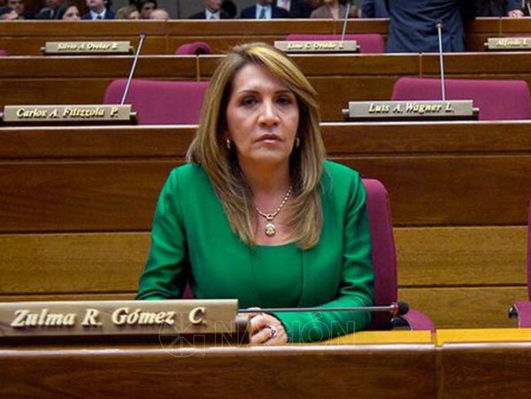 Zulma Gómez instó a rechazar nuevo endeudamiento del país - Noticde.com