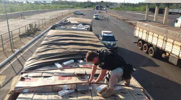 Decomisan 400 mil gruesas de CIGARRILLO PARAGUAYO