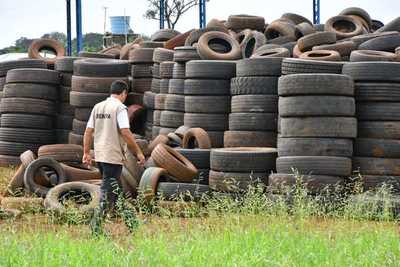 “Pará-na los criaderos”: trabajos de rastrillaje y fumigación previstos para hoy miércoles
