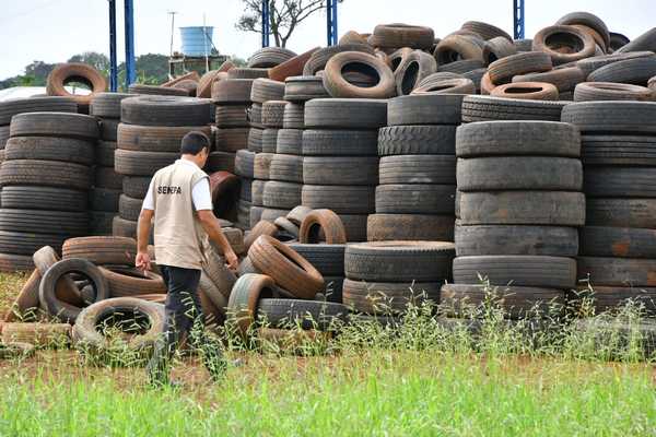 “Pará-na los criaderos”: trabajos de rastrillaje y fumigación previstos para hoy miércoles