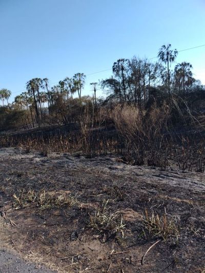 Quemazón destruye cables de Copaco y deja sin internet a chaqueños   - Nacionales - ABC Color