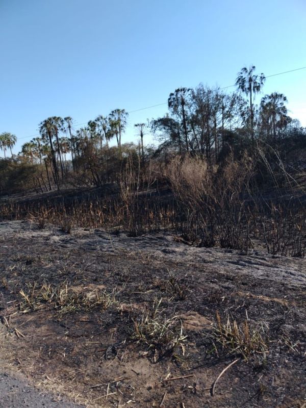 Quemazón destruye cables de Copaco y deja sin internet a chaqueños - Nacionales - ABC Color