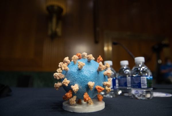Incertidumbre acerca del tiempo que falta para una vacuna contra COVID-19 - Mundo - ABC Color