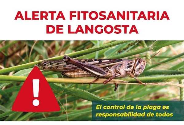 Alerta en la Región Oriental ante el riesgo de ingreso de langostas