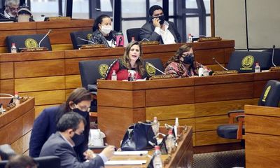 Diputados interpelarán a Villordo, titular de la ANDE - Economía - ABC Color