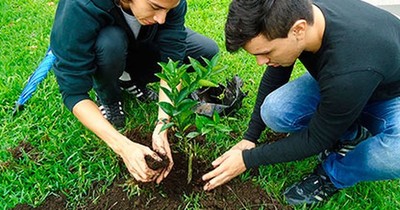 Hermosearán Asunción con la campaña ambiental “Adopta un naranjo”