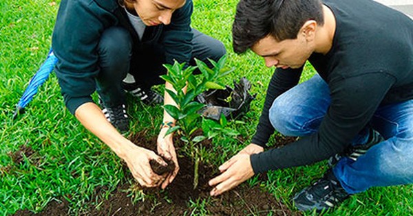 Hermosearán Asunción con la campaña ambiental “Adopta un naranjo”