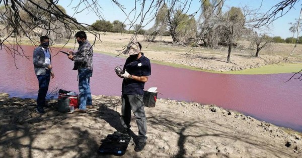 Tajamar se tiñó de rojo a causa de alga, según Cemit-UNA