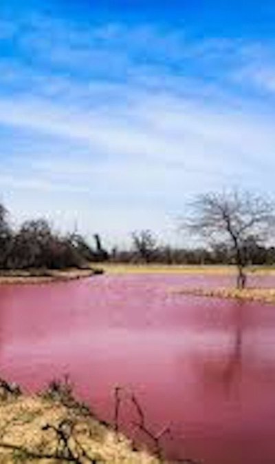 Agua de tajamar más tóxica que chuli he’i | Crónica
