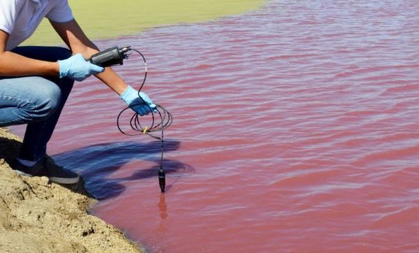 Instan a evitar contacto con tajamar que se tiñó de rojo - Locales - ABC Color