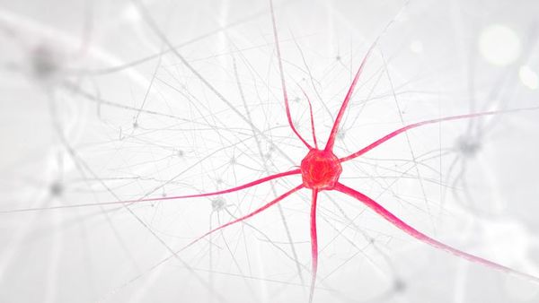 La Novena de Beethoven revela nuevos detalles sobre el cerebro humano - Ciencia - ABC Color